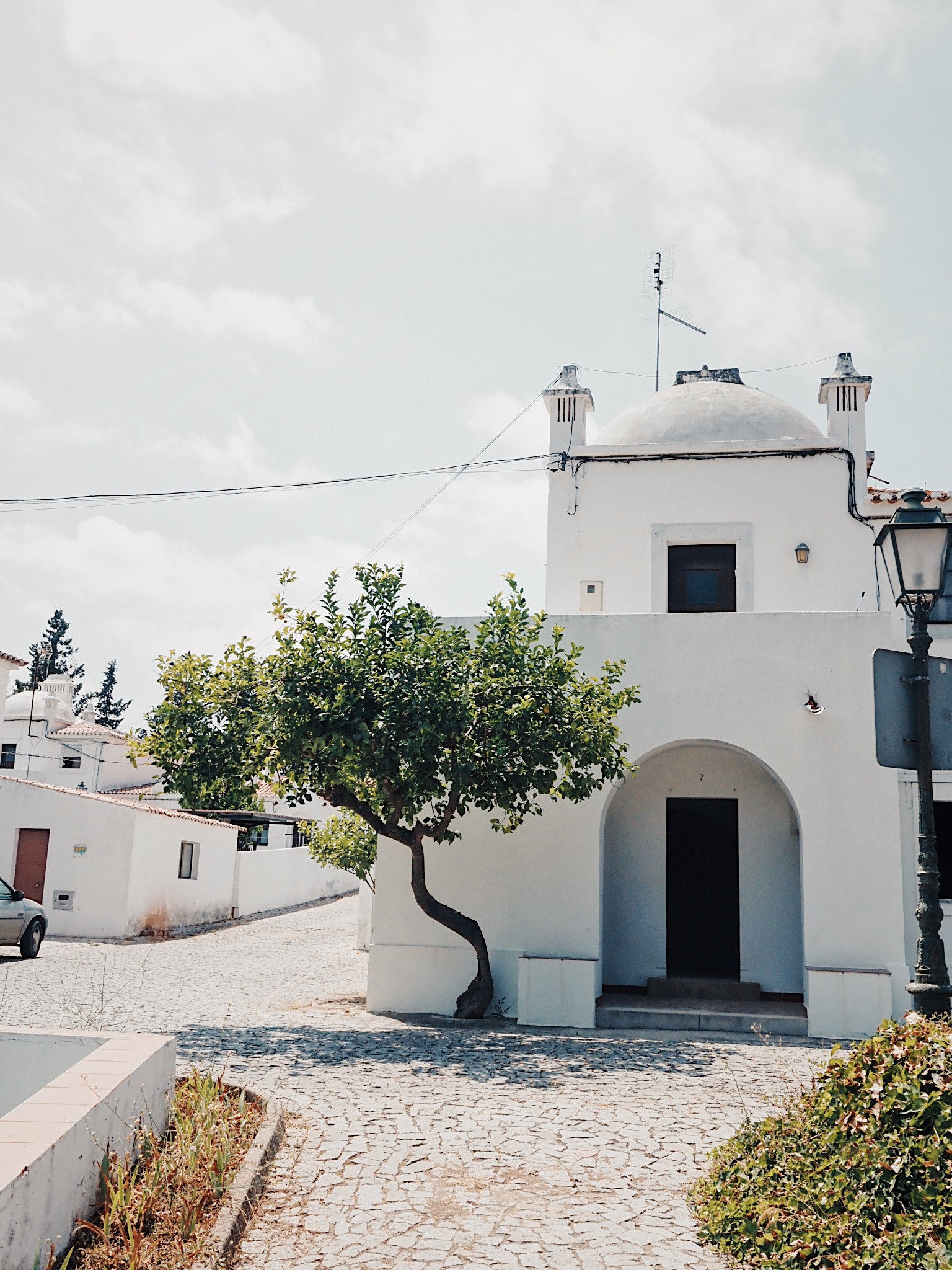 Processed with VSCO with u3 preset