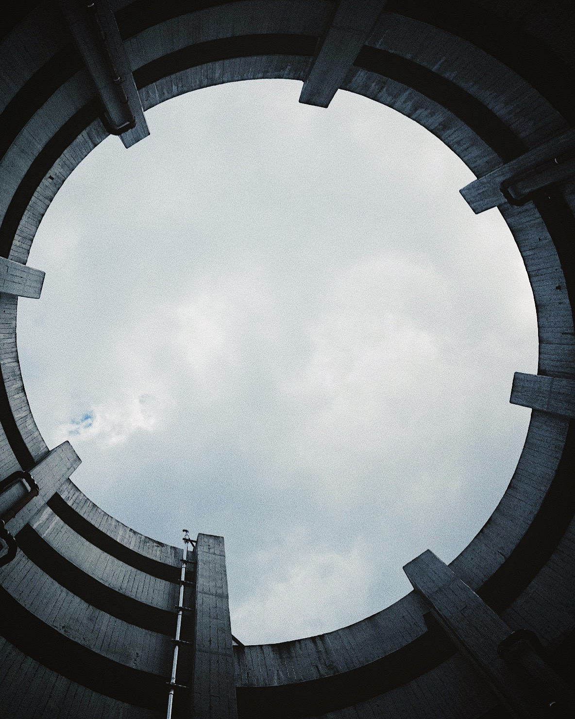 Processed with VSCO with fp8 preset