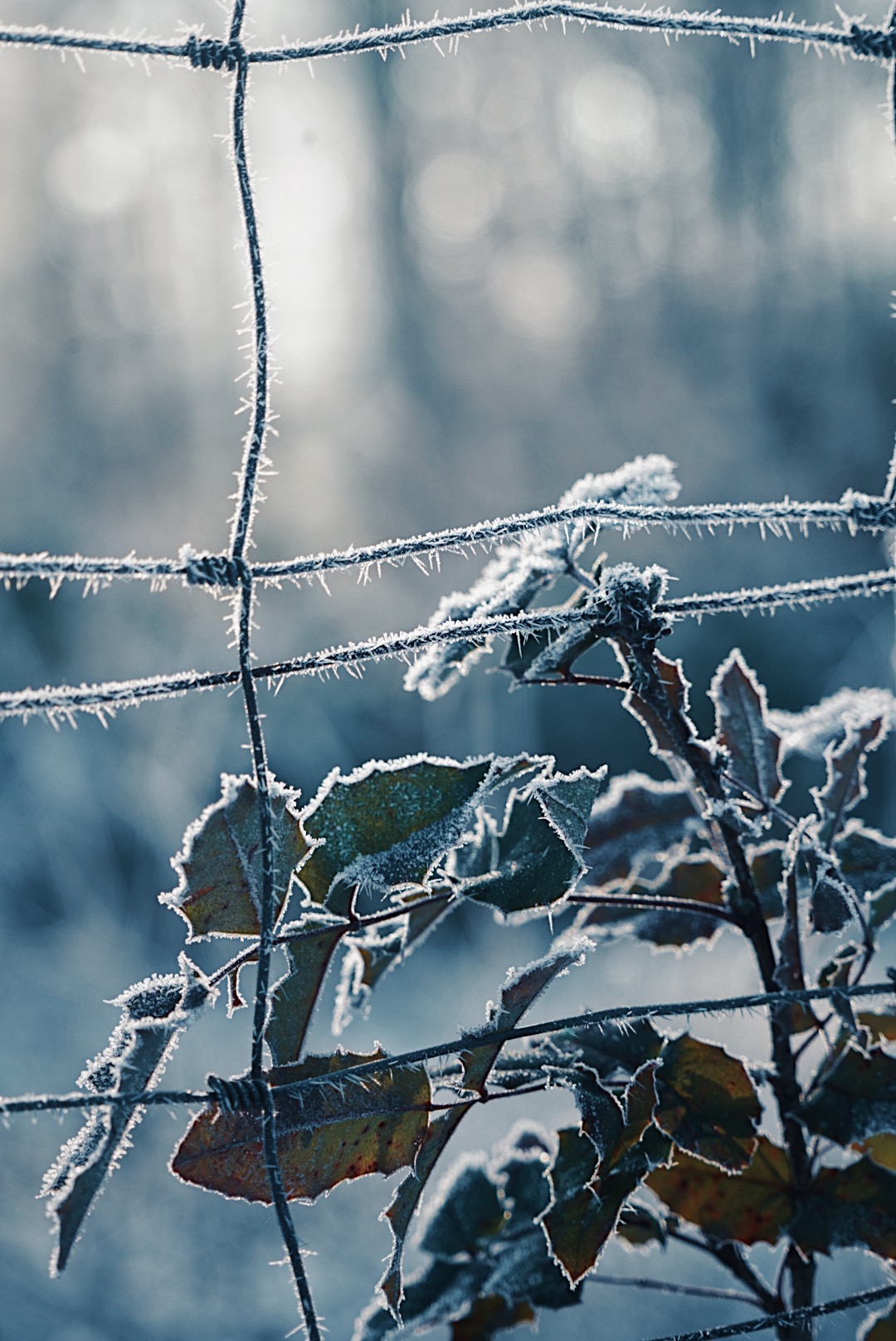 Processed with VSCO with u3 preset