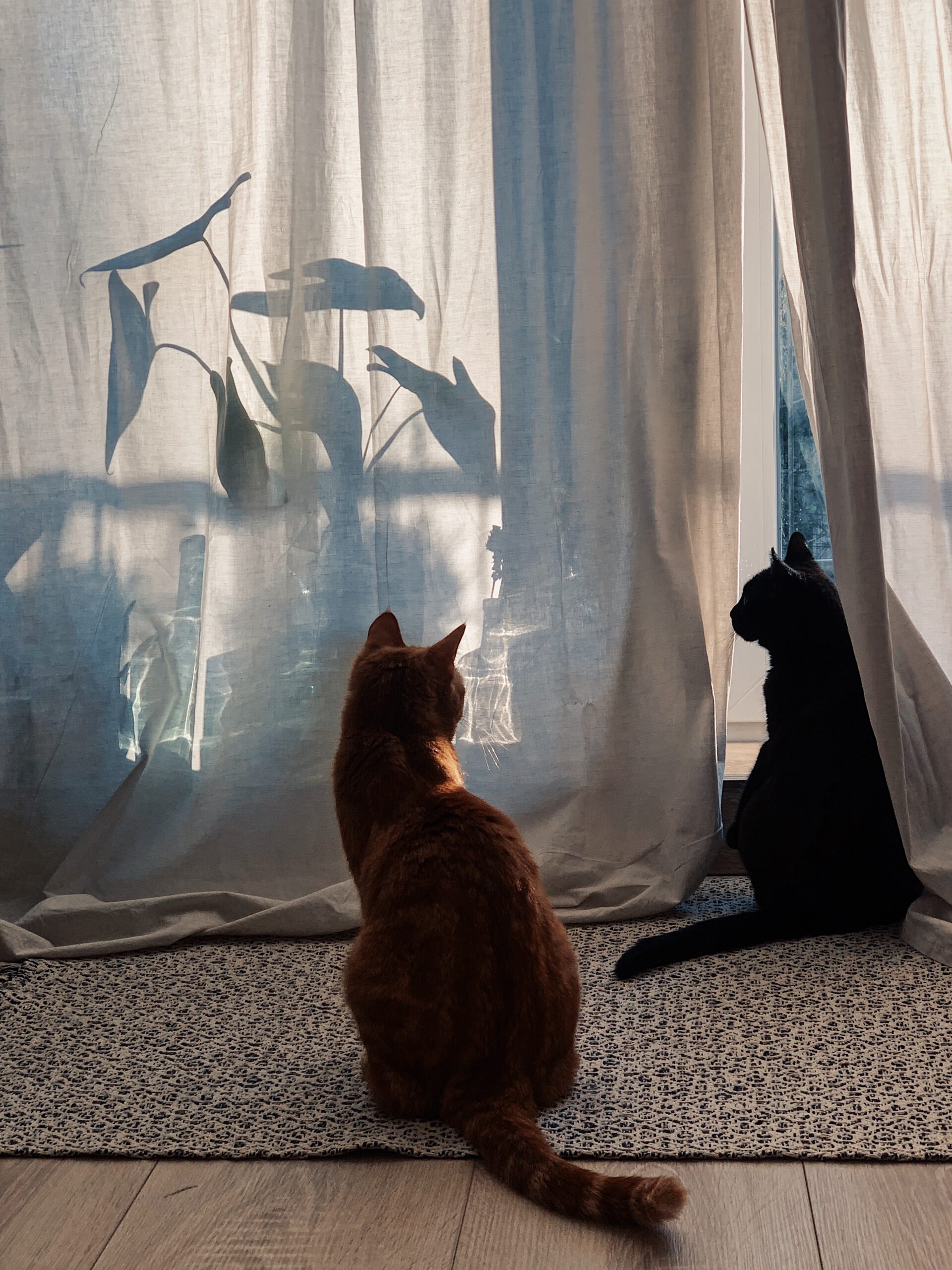 Processed with VSCO with u3 preset