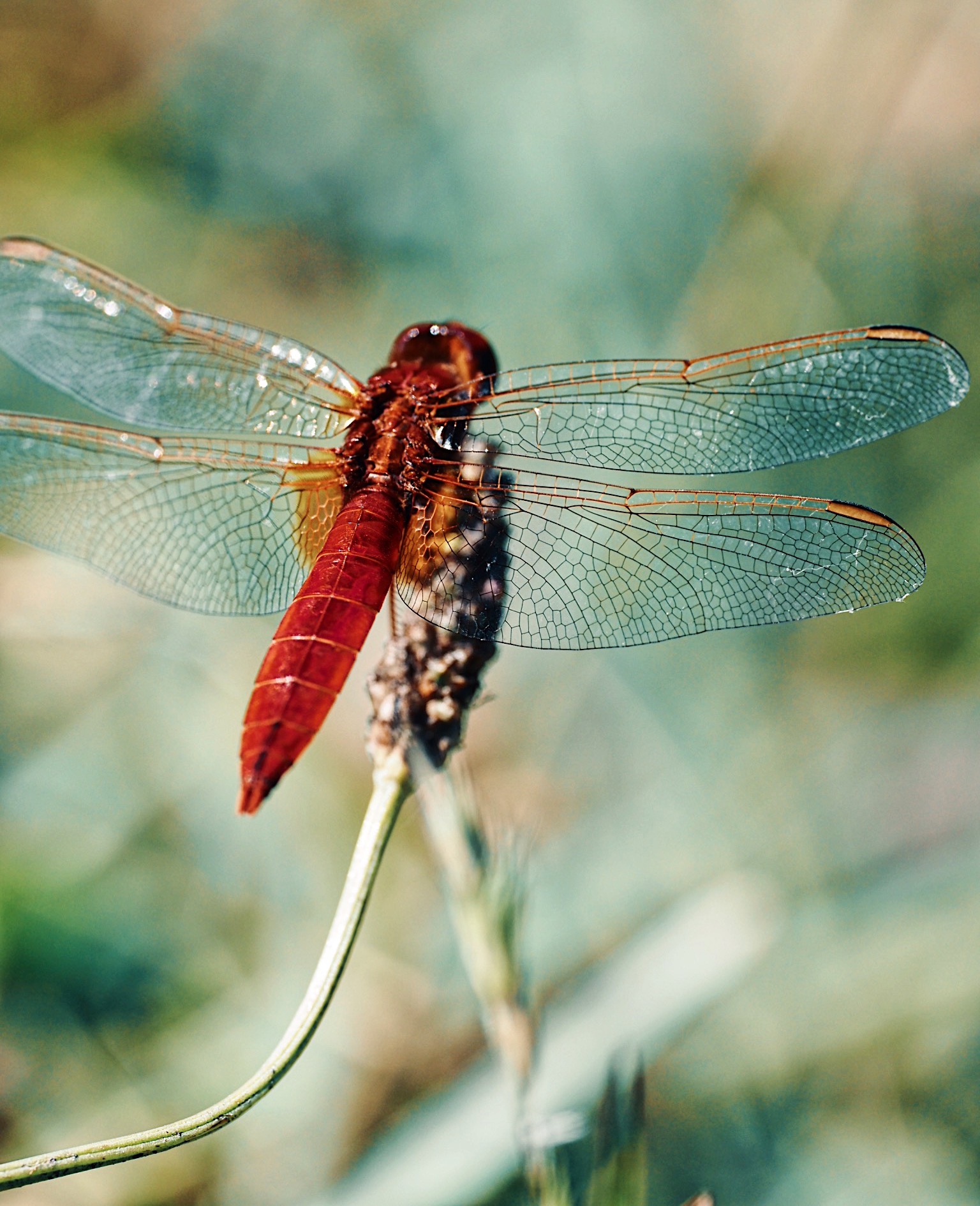 Processed with VSCO with u3 preset