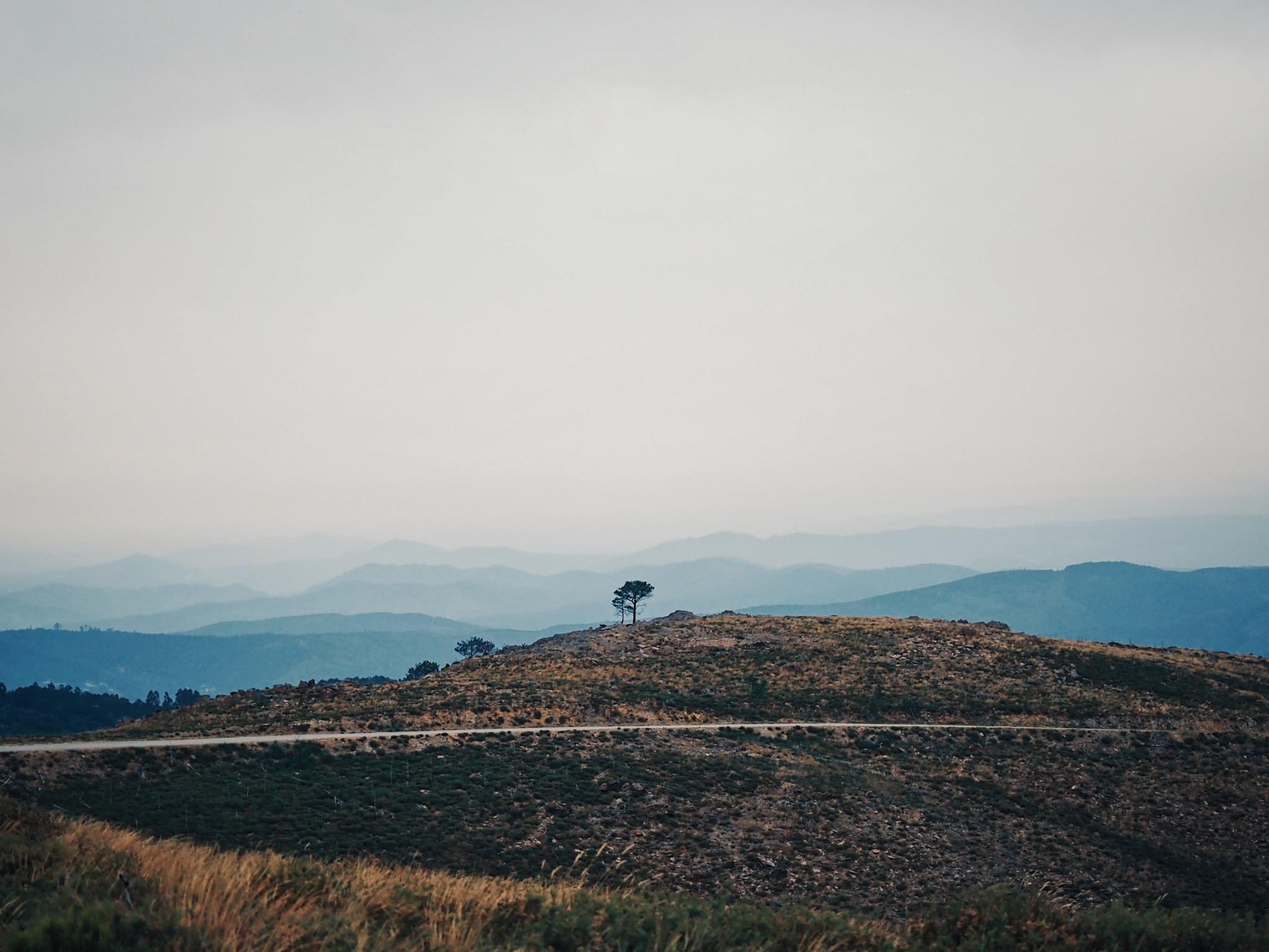 Processed with VSCO with u3 preset