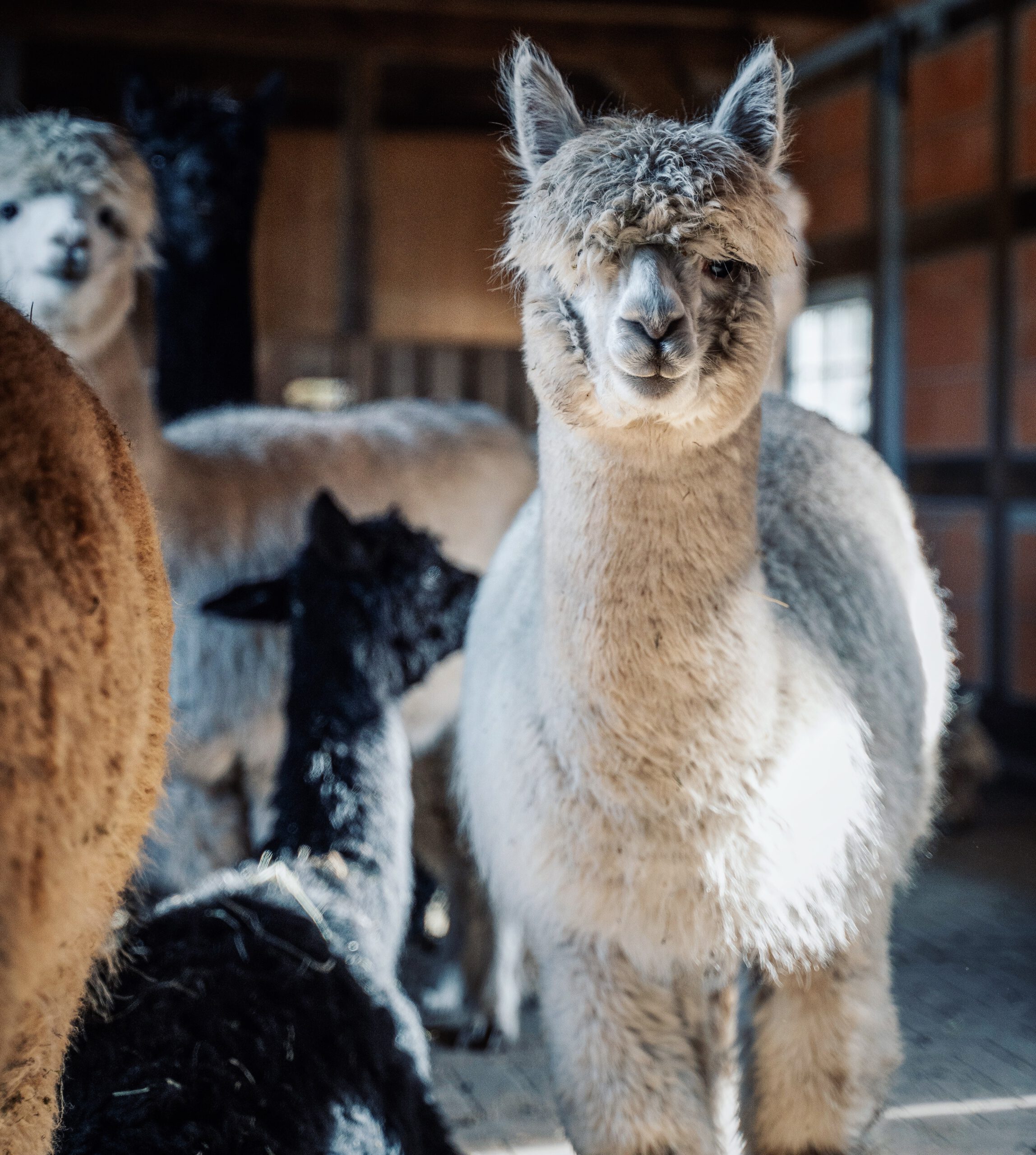 Processed with VSCO with u3 preset