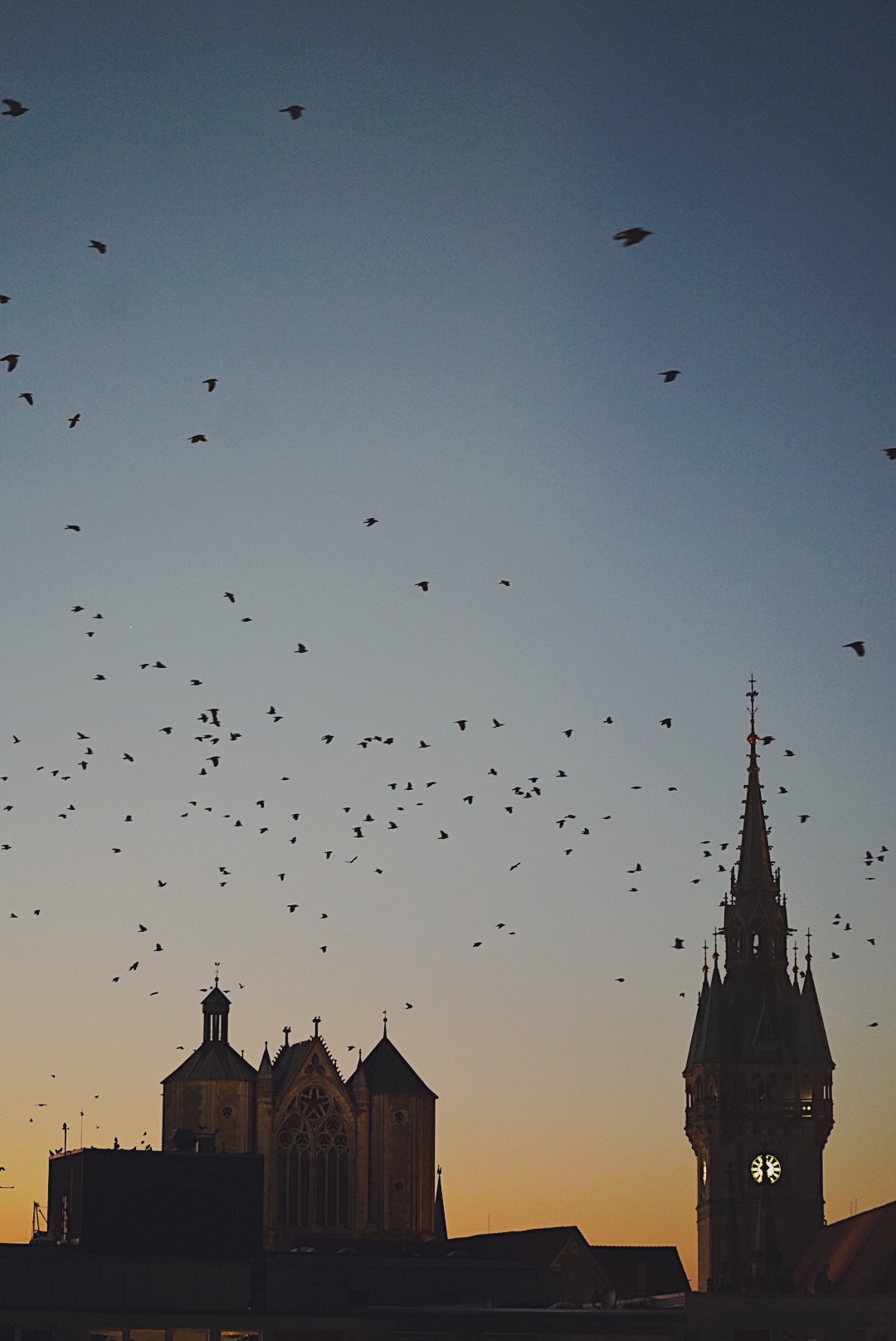 Processed with VSCO with f2 preset