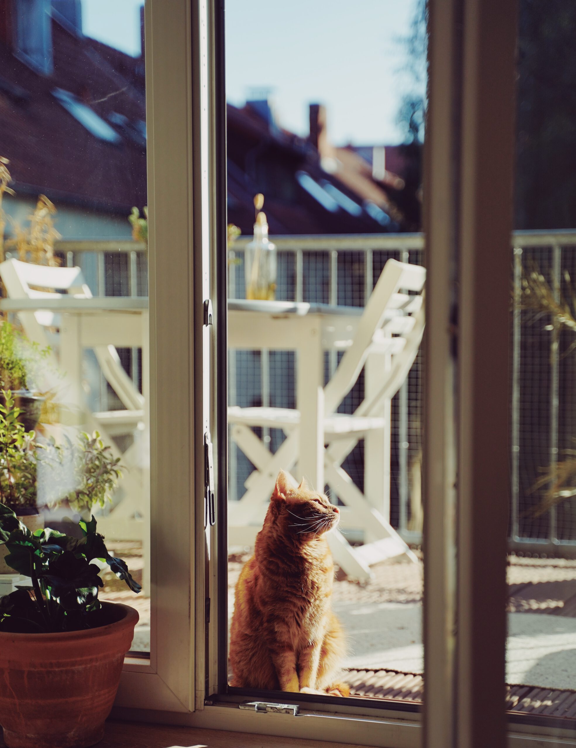 Processed with VSCO with ku8 preset