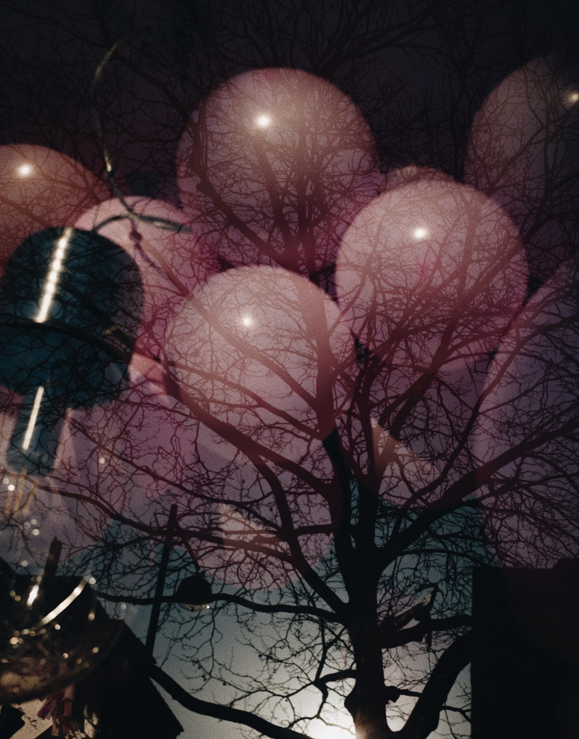 Processed with VSCO with a6 preset