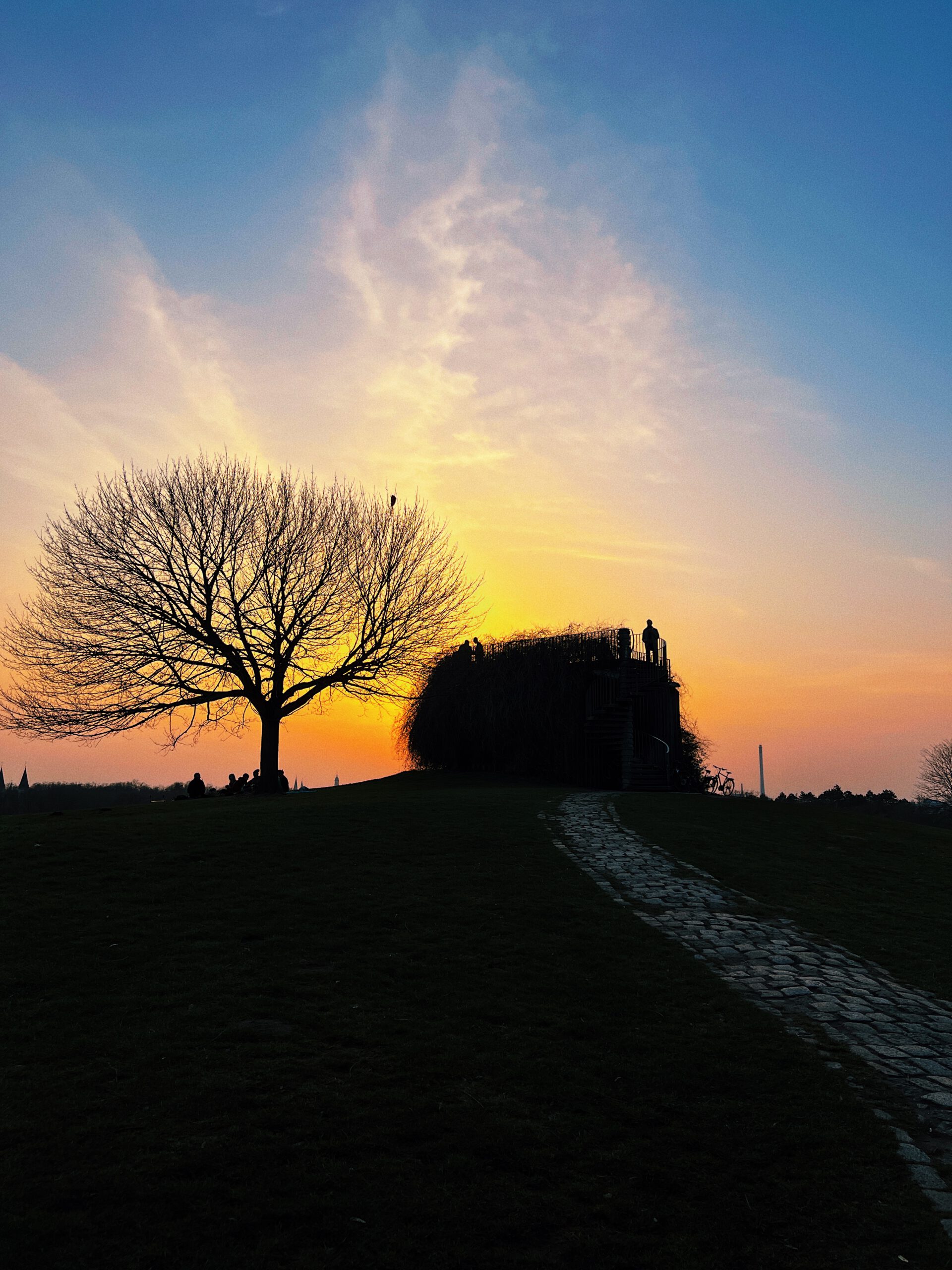 Processed with VSCO with l6 preset