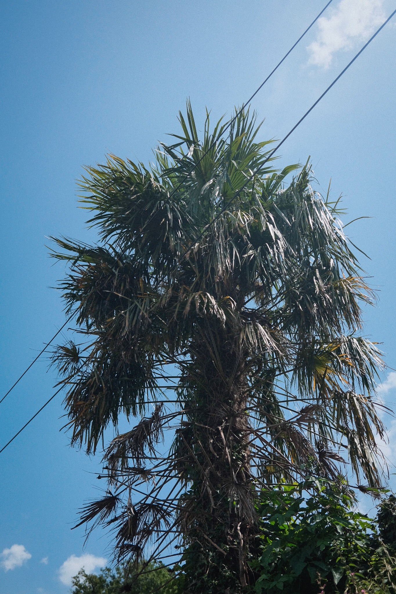 Processed with VSCO with al3 preset